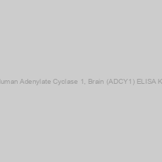 Image of Human Adenylate Cyclase 1, Brain (ADCY1) ELISA Kit